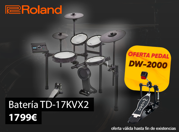 Roland-td17ES