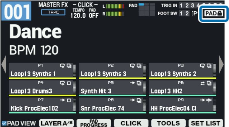 Roland  SPD-SX PRO Sampling Multi-Pad 32GB