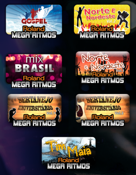 Roland BK-3 Teclado com Ritmos Intelligent Arranger Profissional