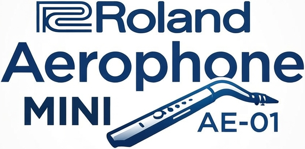 Roland Aerophone MINI AE-01 Dedilhado baseado na Flauta Tradicional