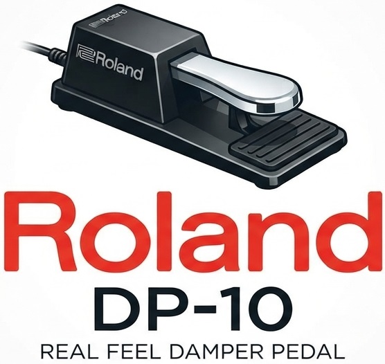 <b>Roland DP-10 Pedal de Sustain universal</b>