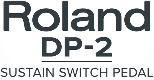 <b>Roland DP-2 Pedal de Sustain Footswitch Universal</b>